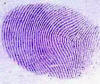 Violeta de genciana, violeta cristal, fabricantes de cloruro de metilrosanilinio